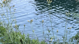 A coalition of interest groups including agricultural producers, local governments and environmental advocates seek to overturn a Montana law they say allows the exploitation of water rights.