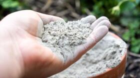 Iowa farmers apply between 100,000 and 200,000 tons of urea to their fields every year. (Adobe Stock)