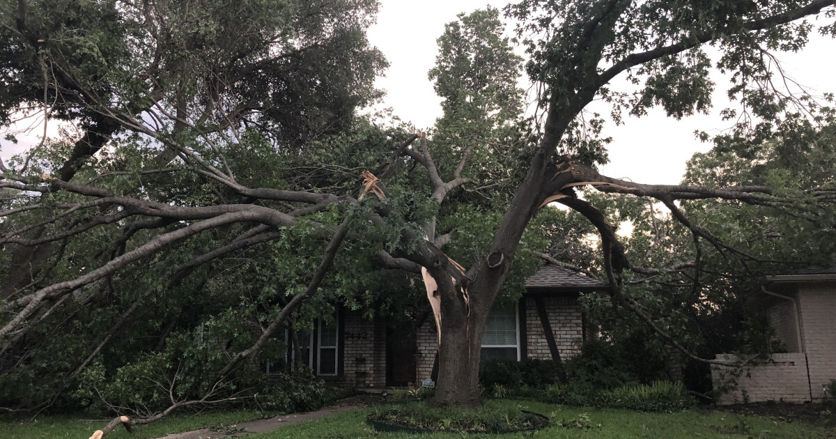Tens Of Thousands Still Without Power After Severe Storms Hit Dallas ...