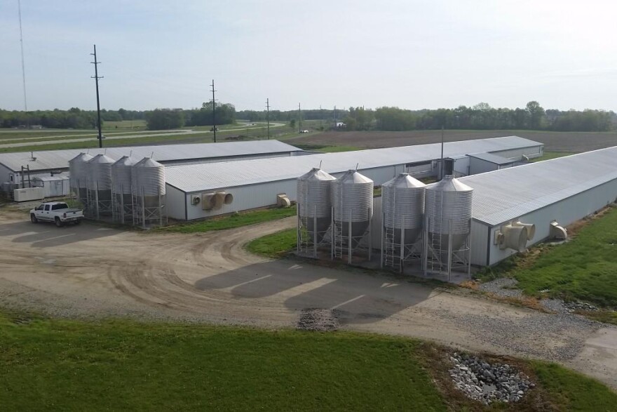 CAFOs off Route 25 in Tippecanoe County.