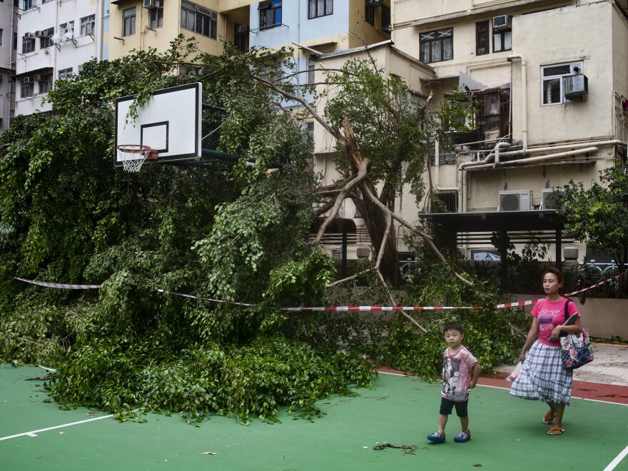 Mangkhut damaged trees and buildings throughout Hong Kong.