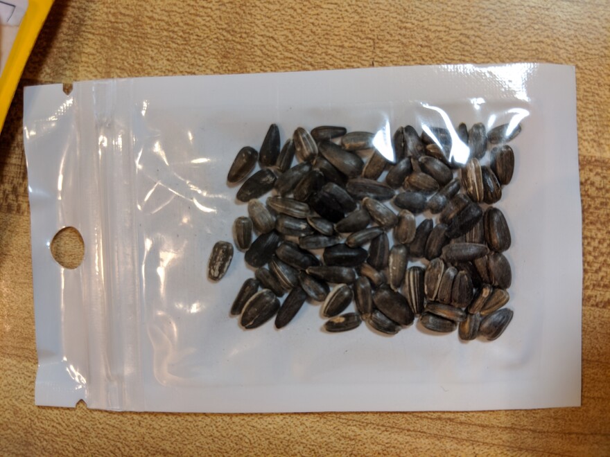 A Packet of Unsolicited Seeds Received By An Ohio Citizen In The Mail