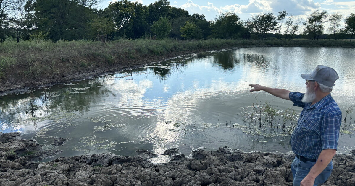 Federal drought relief policies leave some farmers out to dry | WWNO