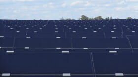 The Monroe solar farm, on about 400 acres off South Rocky River Road, has about 684,000 solar panels.