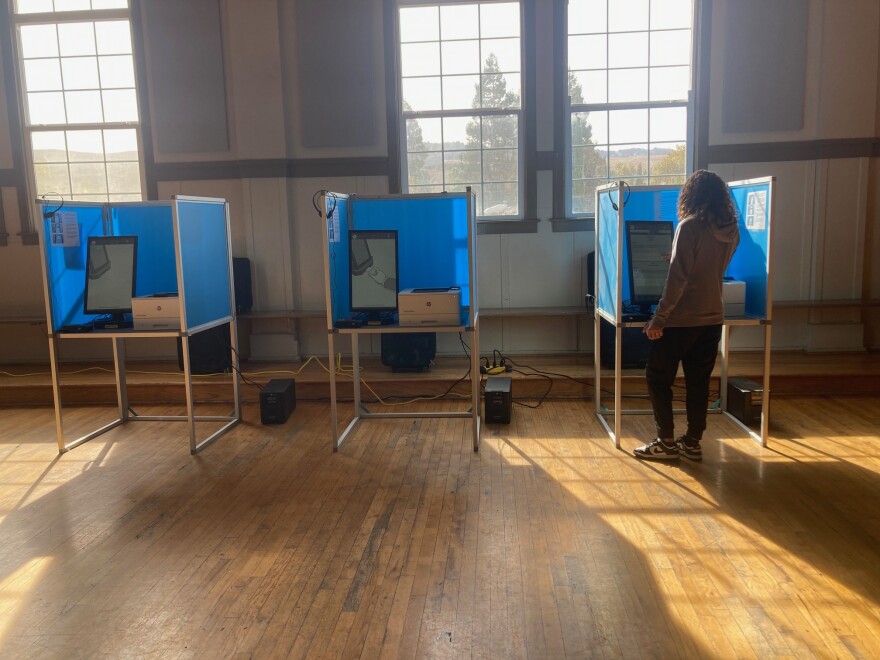 A person stands in front of a voting booth.