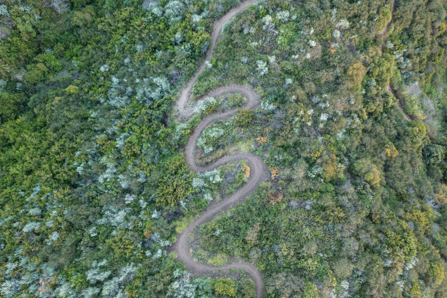No, it's not a snake! It's one of the trails in the City of Santa Barbara's Parma Park.