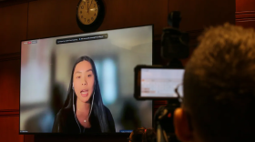 Nicole Chen, a student at Yale University, speaks in support of a law that would set a framework for in-person early voting in Connecticut.