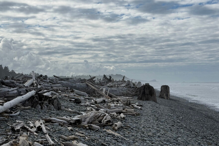 Driftwood sits on a beach.