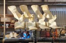 A Dinosaur Valley Studios employee welds the stainless steel framework that will hold the skeleton of the blue whale that washed ashore in southern Oregon in 2015 and is expected to be placed outside the Hatfield Marine Science Center in mid-May.