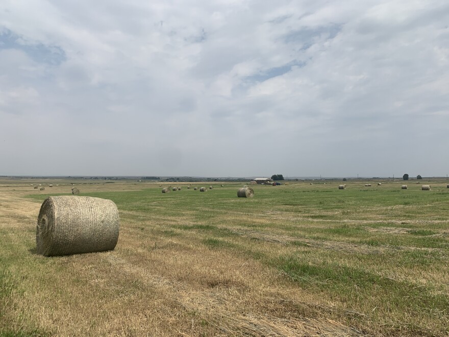 Round hay bales dot a big field, with a few buildings in the distance. The sky is big, with a mix of clouds and blue sky.