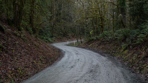 A road winds through green woods on an overcast day.