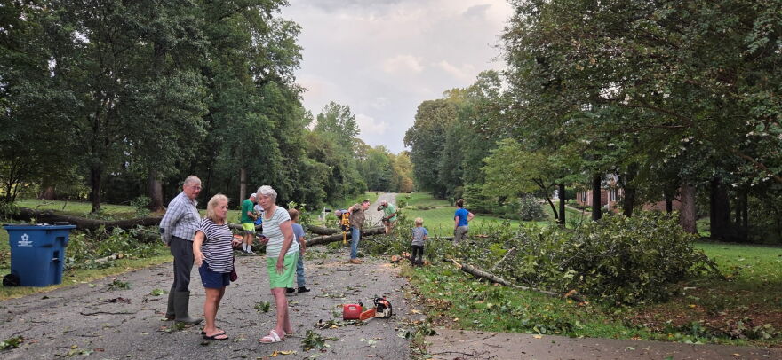 On Friday night, heavy rainfall and wind gusts brought down several trees in Greensboro.