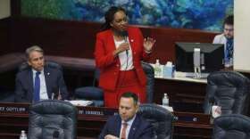 Rep. Fentrice Driskell speaks on the floor of the state House of Representatives (Octavio Jones/ WUSF Public Media)