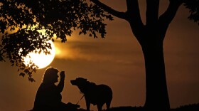 A woman plays with her dog at sunset. (Charlie Riedel/AP)
