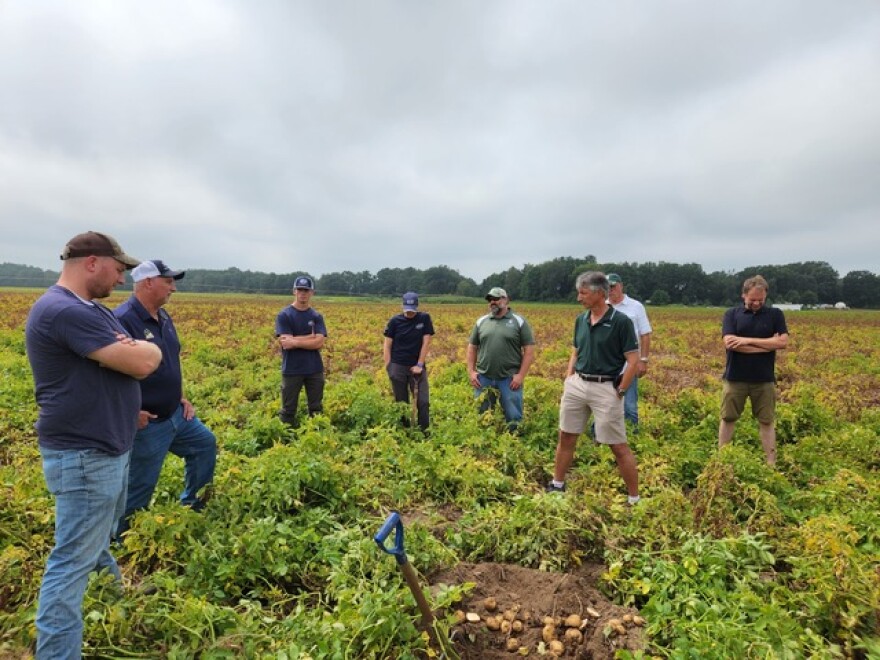Eight white men stand in a potato field looking down at the ground, mostly green bushes with a few potatoes that have been dug up in the center.