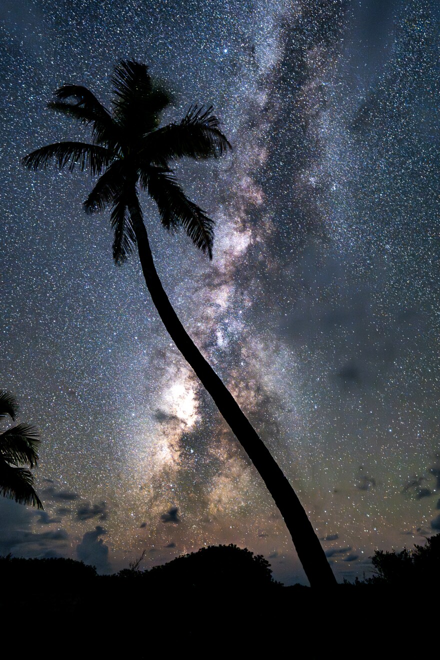 A palm tree caresses the Milky Way on loggerhead key.
