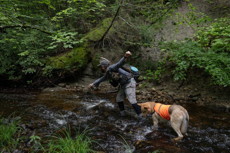 Fly fishing guide Geoff Klane casts his line into Trapfall Brook as his dog Leroy looks around at the water on Thursday, Aug. 17, 2023, in northern Massachusetts. (Raquel C. Zaldívar/New England News Collaborative)