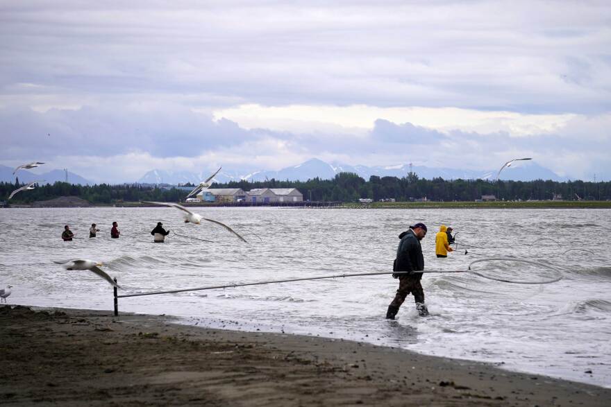 Dipnetters seek sockeye salmon at the mouth of the Kenai River in Kenai, Alaska, on July 13, 2026.