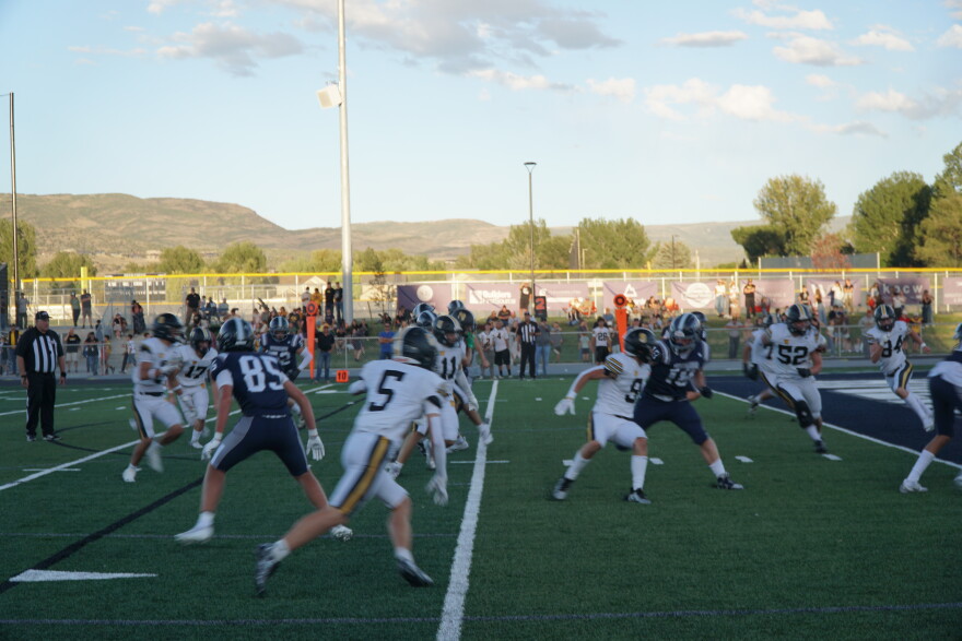The Deer Creek Riverhawks in blue face the Wasatch Wasps in yellow Friday night.