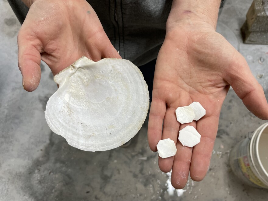 Easy to cut and shape, local Sea Scallops are one of Mercy Reed's favorite species to eat, and to work with in the jewelry studio.