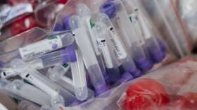 Photo: freestocks