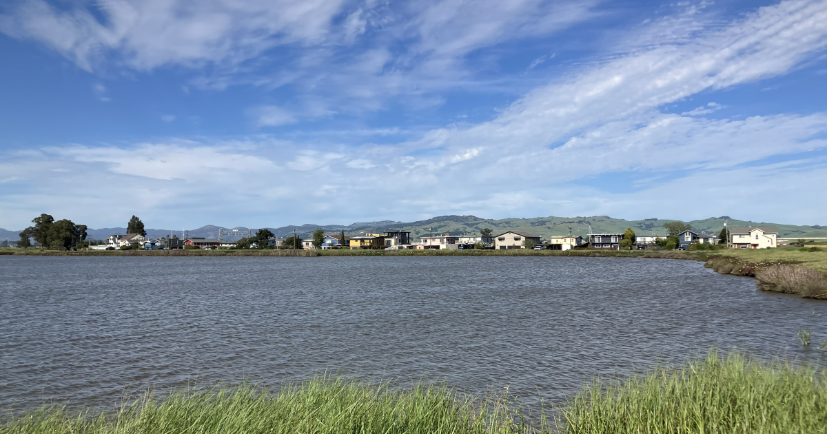 Ep.1: Sea Level Rise — High tides and an upstream battle on the Napa River