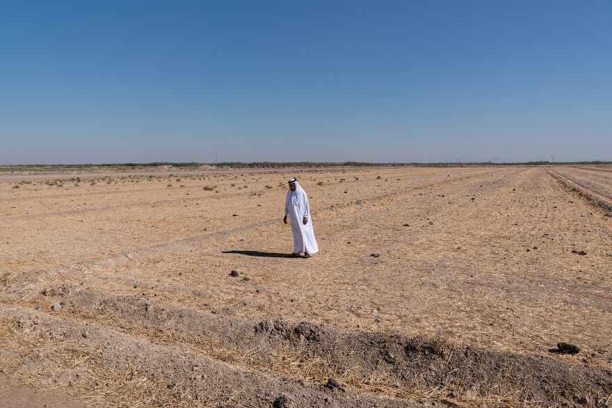 Iraq's average annual temperatures are increasing at nearly double the rate of Earth's temperature rise. This photograph accompanies Ruth Sherlock's <a href="https://www.npr.org/2021/11/07/1051468823/iraq-marshes-climate-change-cop26">story about how climate change</a> is affecting marshlands and the way of life in Iraq.