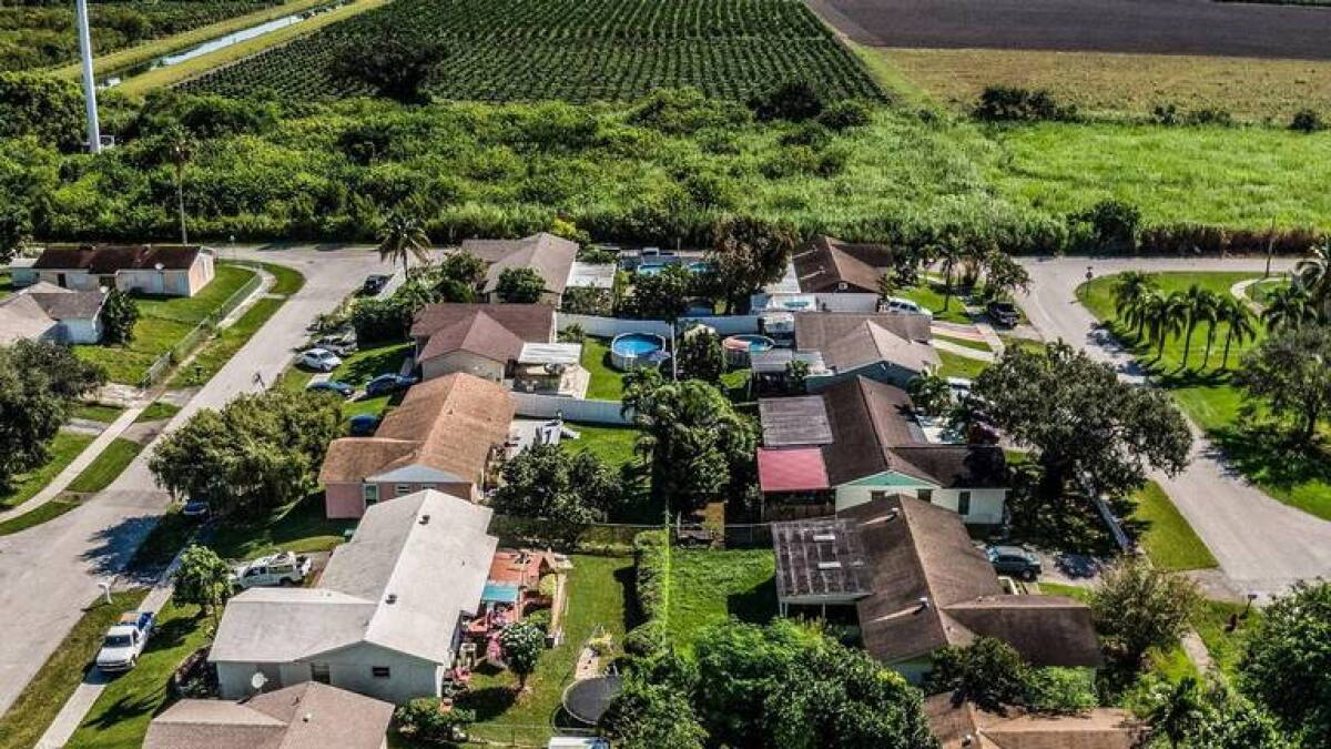 Florida environmentalists say law prevents challenges to land-use plans - Vimarsana News