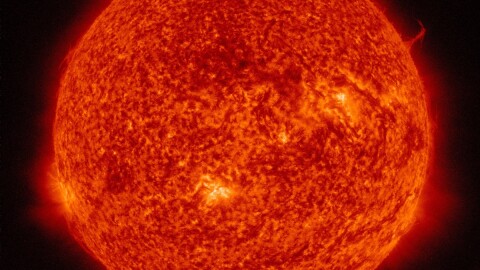 Scientists compared our sun to over 70 similar solar twins and found a few distinct differences.