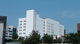 New windows are being installed in the former Block & Kuhl building downtown. It's slated to become OSF HealthCare's new headquarters, with 750 employees working out of the historic 1905 office building.