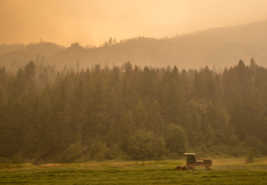 A farmer mows alfalfa amid the smoke from the Okanagon Complex Wildfires on Aug. 23 near Omak, Wash. The fires in the state have consumed more than 1 million acres.