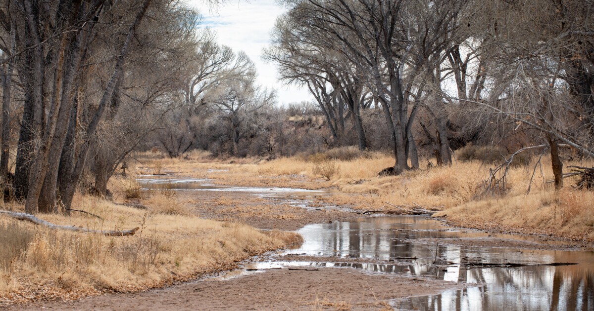 Arizona's San Pedro River facing historically dry conditions