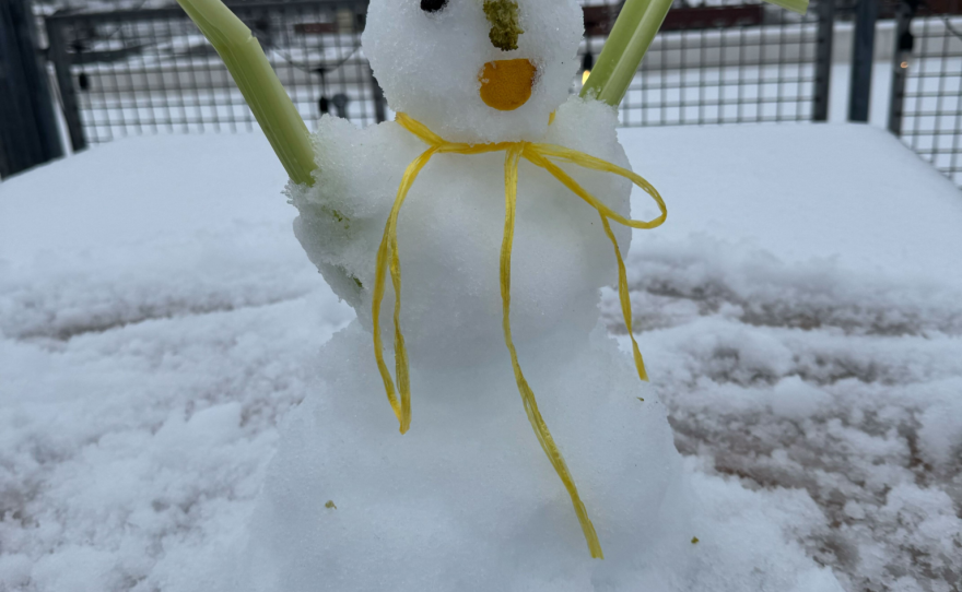 A small snowman with celery for arms 