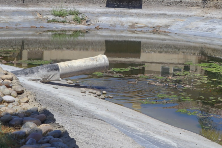 A lake sits nearly empty on July 17, 2026 with the water pump fully exposed as ducks swim through algae-covered water.