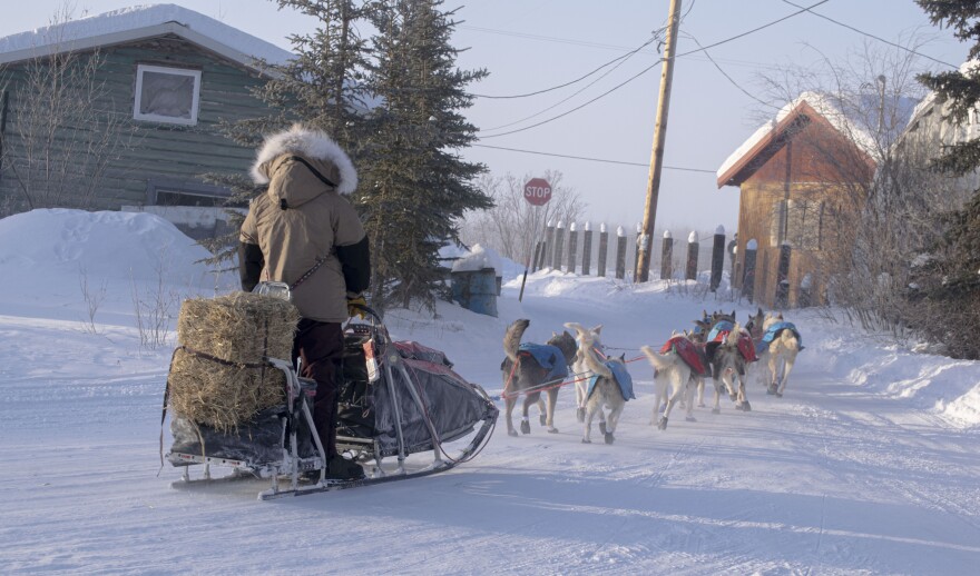 Yukon Quest frontrunner Josi Shelley mushes out of Fort Yukon at about 11:30 a.m. on Feb. 10, 2026. (Shelby Herbert/KUAC)