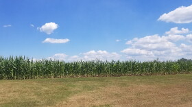 The Purdue University survey of 400 farmers found that one-third of producers are worried that input costs will go up more than four times as rapidly in the upcoming year.