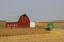 Corn is harvested in Shelby County, Iowa, in early September. President Donald Trump has promised to send farmers billions of dollars in aid to help offset the loss after tariffs impacted agricultural markets, including China.