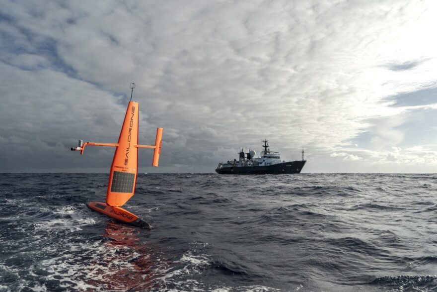 In early March, two months before Falkor departed for the same mission, two saildrones were deployed from San Francisco. They have been transmitting data in real time, listening for the acoustic tags that researchers attached to great white sharks and using sonar to detect other creatures deep under the surface.