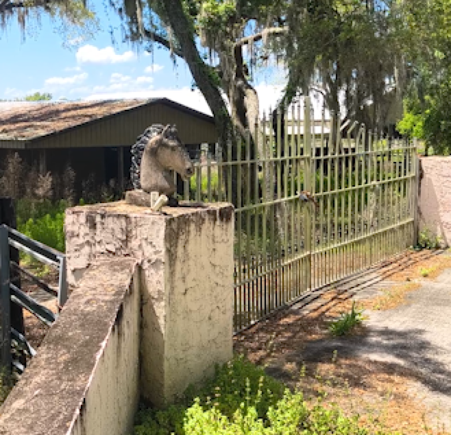 Just across ‘Miller Lake’ from the Kremers is a now-vacant horse farm that was forced into foreclosure due to chronic flooding, according to the lawsuit. Public records show Volusia County purchased the property of just under 11 acres last year for stormwater-related purposes.