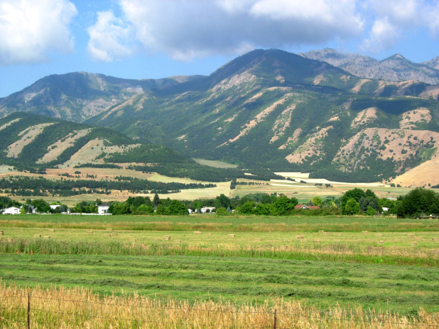 A green farm field in a mountain valley. There are some houses in the near background with green-covered mountain peaks rising up behind them.