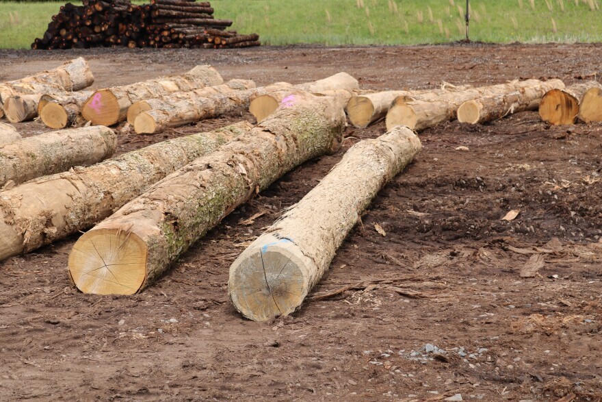 Benton Wood Products is a logging company in Marshall County. They turn trees, like the ones damaged in December 10, 2021 tornadoes, into stave materials.