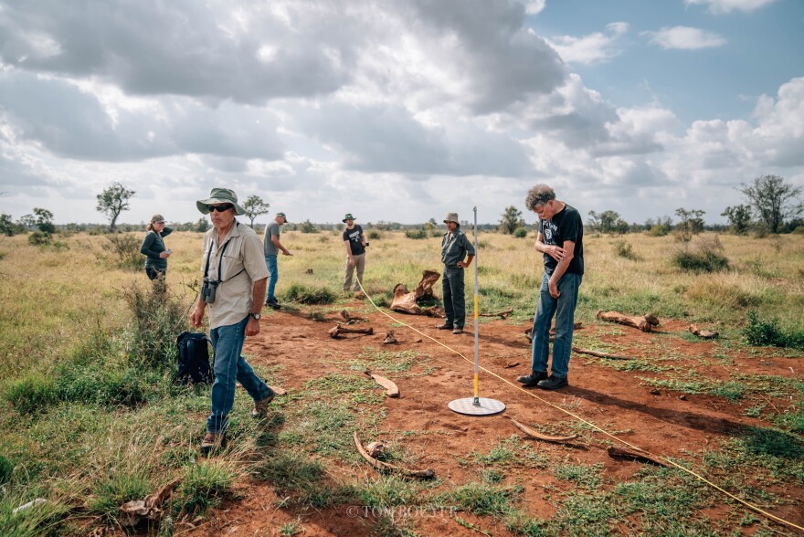 A group of people stand in a field with bones on the ground. 