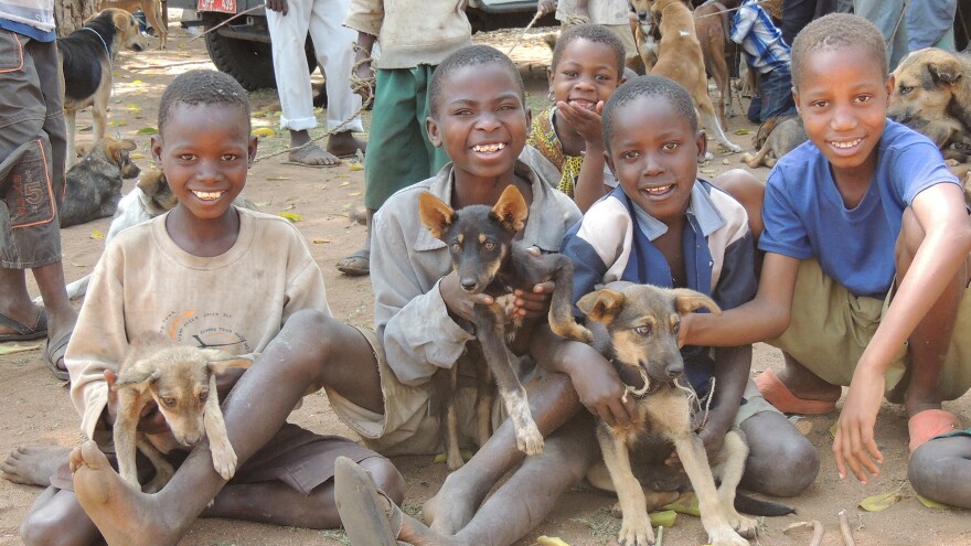 Boys show off their four-legged friends at a rabies vaccination drive set up by the Serengeti Health Initiative in the Bariadi District of Tanzania.