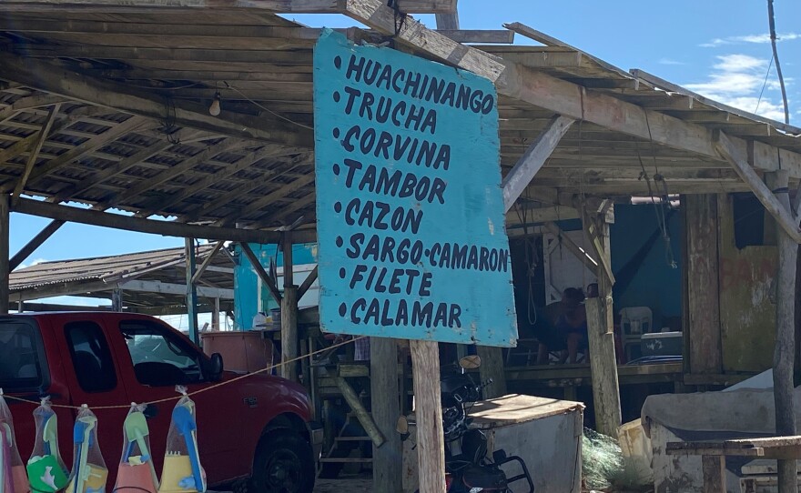 A sign on Bagdad Beach advertises fish for sale --huachinango (red snapper) is at the top. It is the most profitable, most sought-after, most fought-over, and most regulated fish in the Gulf.