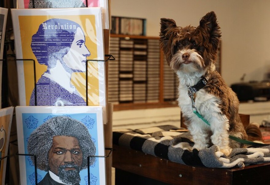 Dellaria's dog, Indy, is often by the artist's side in his new store.