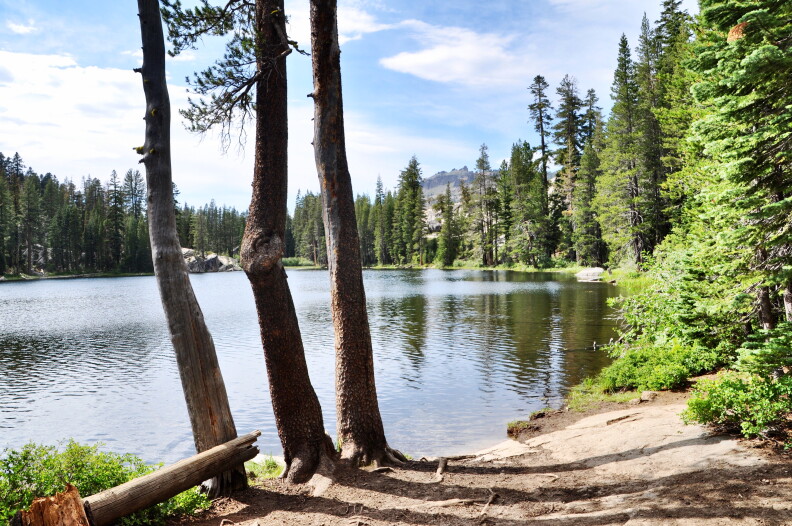 A lake in the middle of greenery.