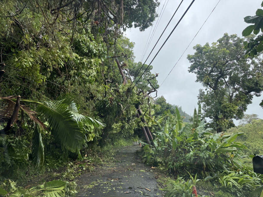 Fallen branches appear intertwined with power lines on Round Top Drive on Sunday, Aug. 16, while some fallen debris has been cleared by residents.