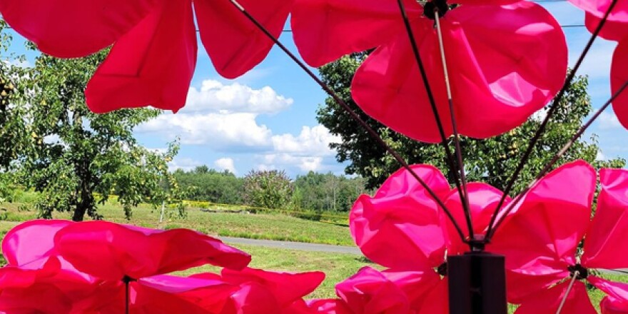 Art In the Orchard 2021