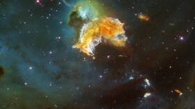 The remnant from a supernova in the Large Magellanic Cloud, a galaxy 160,000 light-years from the Milky Way.