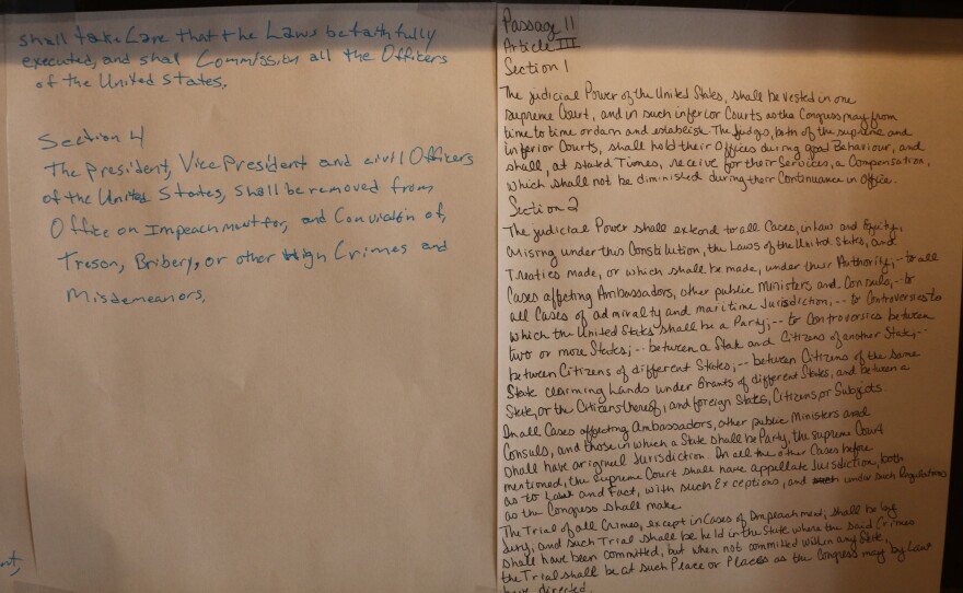 The United States Constitution as copied by folks at the Bee Well Mead and Cider House in Bellaire (Photos : Austin Rowlader / IPR News)